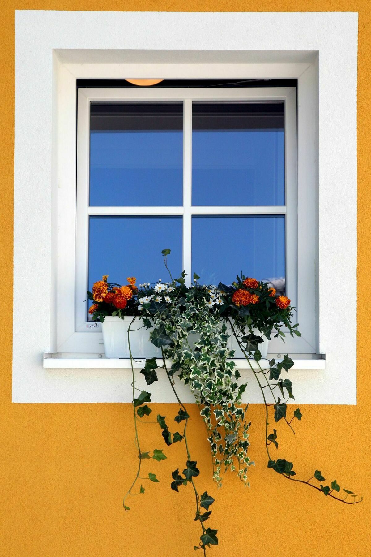 Apartments Ante Portas Salzburg Kültér fotó